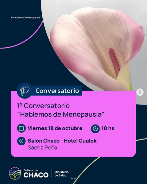 Screenshot 2024 10 18 at 10 44 24 Ministerio de Salud del Chaco 🗣️1° Conversatorio Hablemos de Menopausia 🗓️Este viernes 18 a las 10 horas en el Hotel Gualok de Saenz Pena se realizara el 1°… Instagram