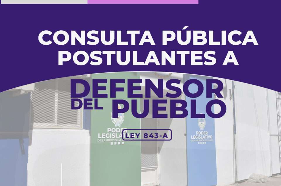 11 02 25 Consulta Publica imagen