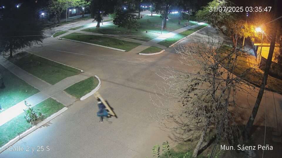 1001813351