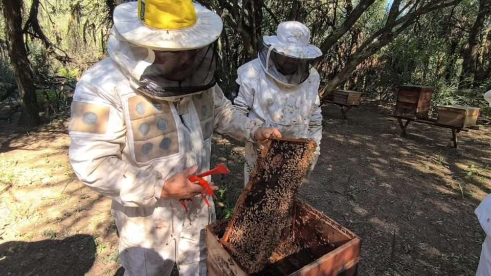 WhatsApp Image 2025 08 13 at 10.43.36 AM