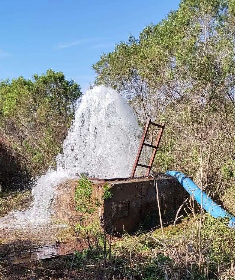 WhatsApp Image 2025 08 14 at 8.52.06 AM