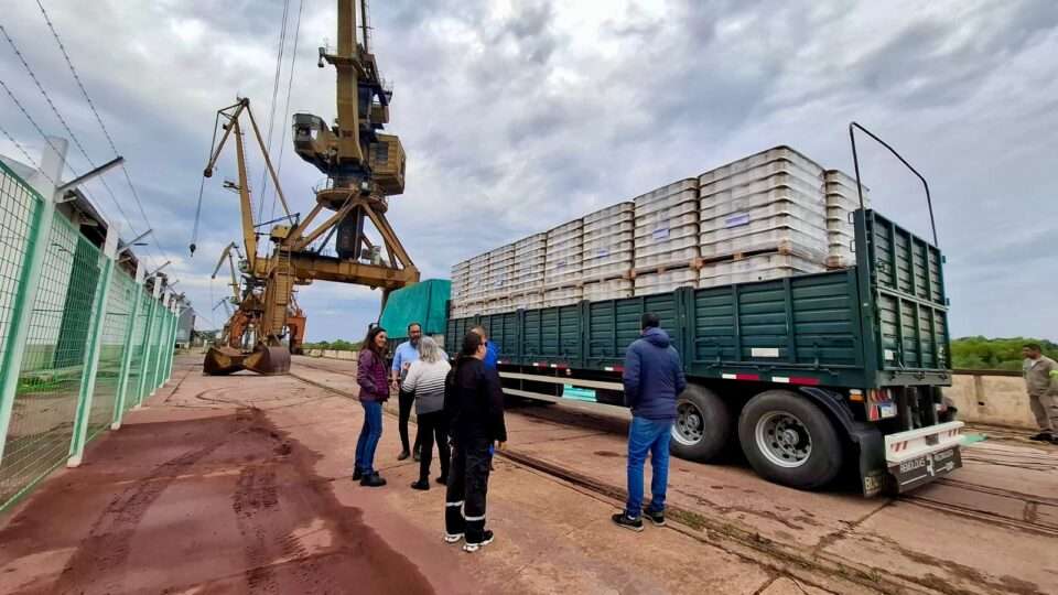 WhatsApp Image 2025 08 18 at 23.51.12