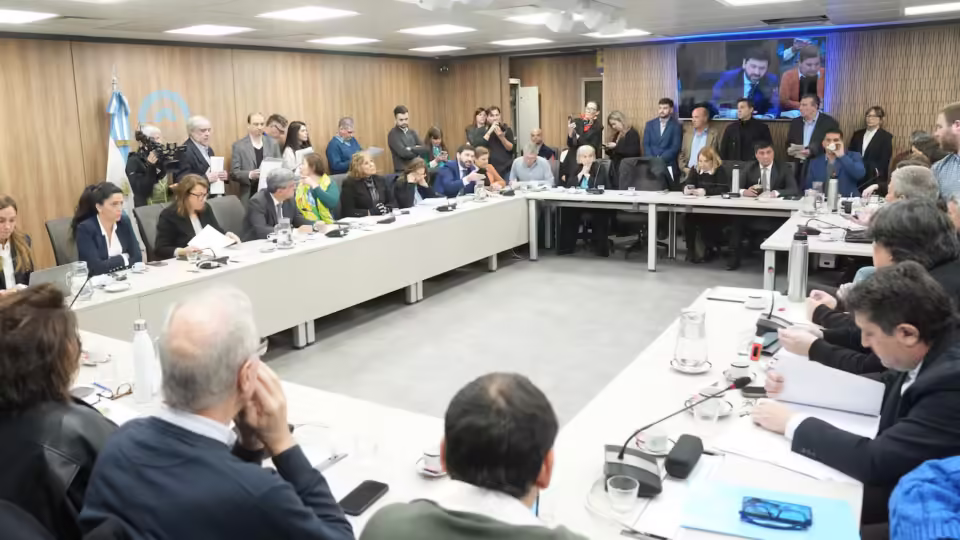 la comision de salud de diputados aprobo por unanimidad un pedido de informes al poder ejecutivo foto camara de diputados MLZLZTMHRBHWBKEN3P3HZOYLWI