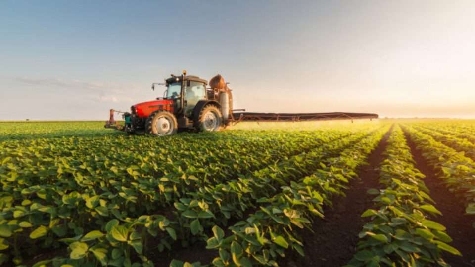 agricultura e1551193435678 800x400 large