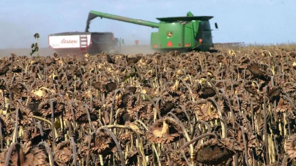 WhatsApp Image 2025 11 27 at 9.30.21 AM