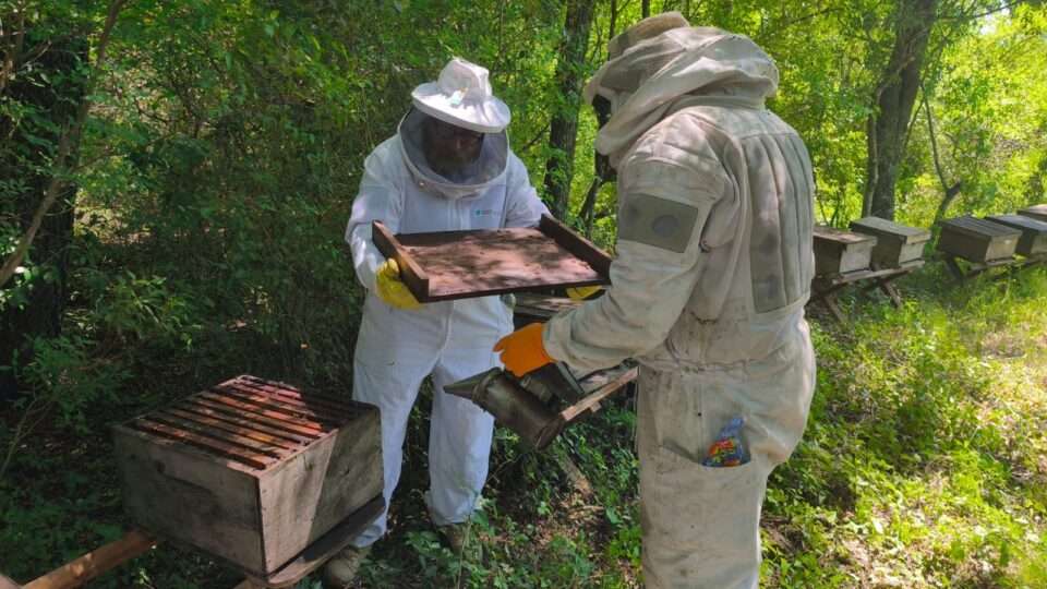 WhatsApp Image 2025 11 29 at 10.30.03 AM