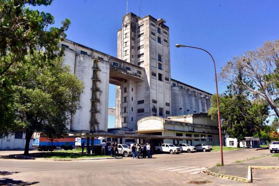 WhatsApp Image 2025 12 17 at 10.20.08 AM