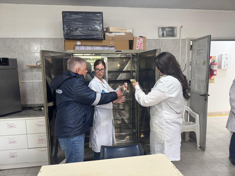 WhatsApp Image 2025 12 22 at 1.57.38 PM