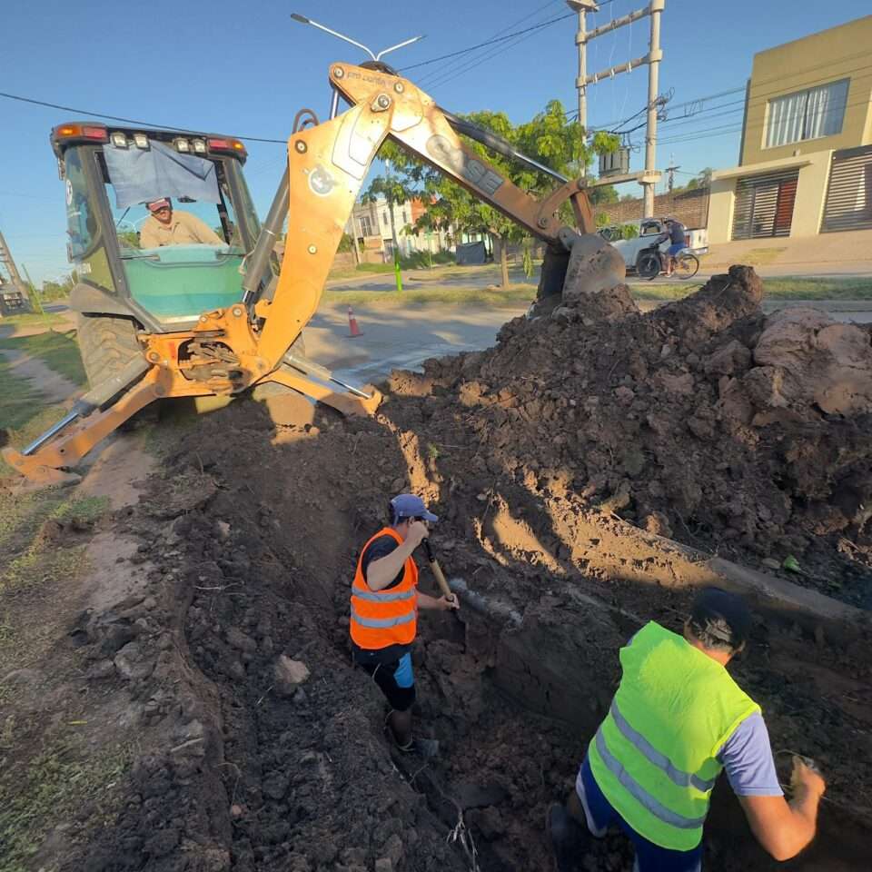 WhatsApp Image 2026 01 08 at 10.17.03 AM