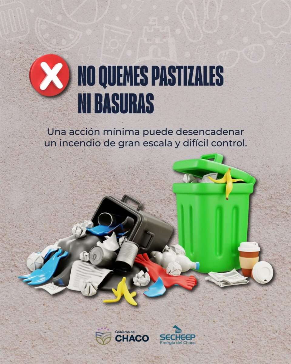 WhatsApp Image 2026 02 03 at 9.34.28 AM