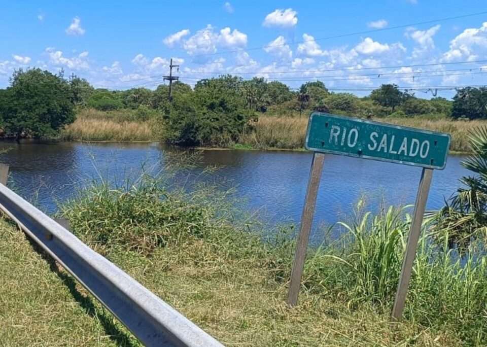 WhatsApp Image 2026 02 05 at 11.02.19 AM