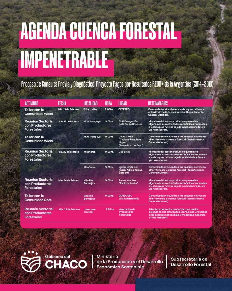 WhatsApp Image 2026 02 05 at 11.03.05 AM