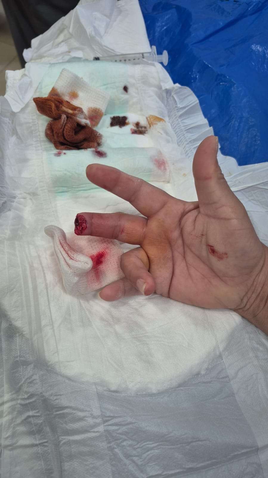 WhatsApp Image 2026 02 05 at 11.06.14 AM