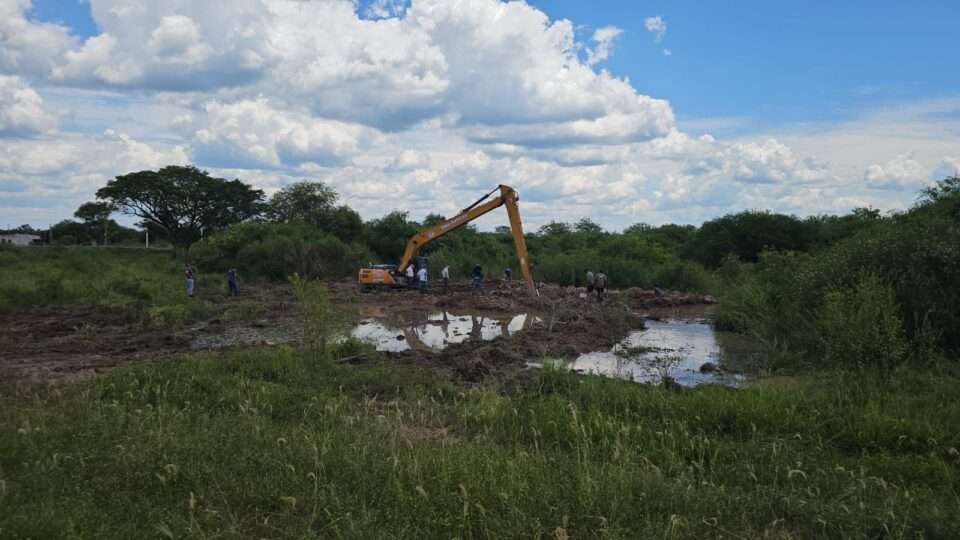 WhatsApp Image 2026 02 07 at 11.31.53 AM