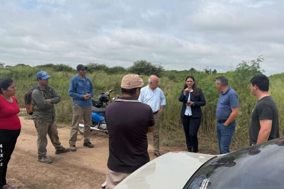 WhatsApp Image 2026 02 11 at 7.54.22 AM