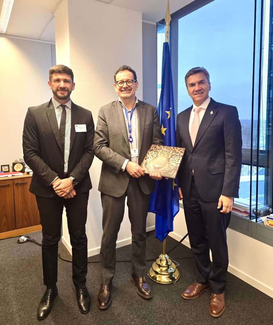 WhatsApp Image 2026 02 26 at 10.33.44 AM