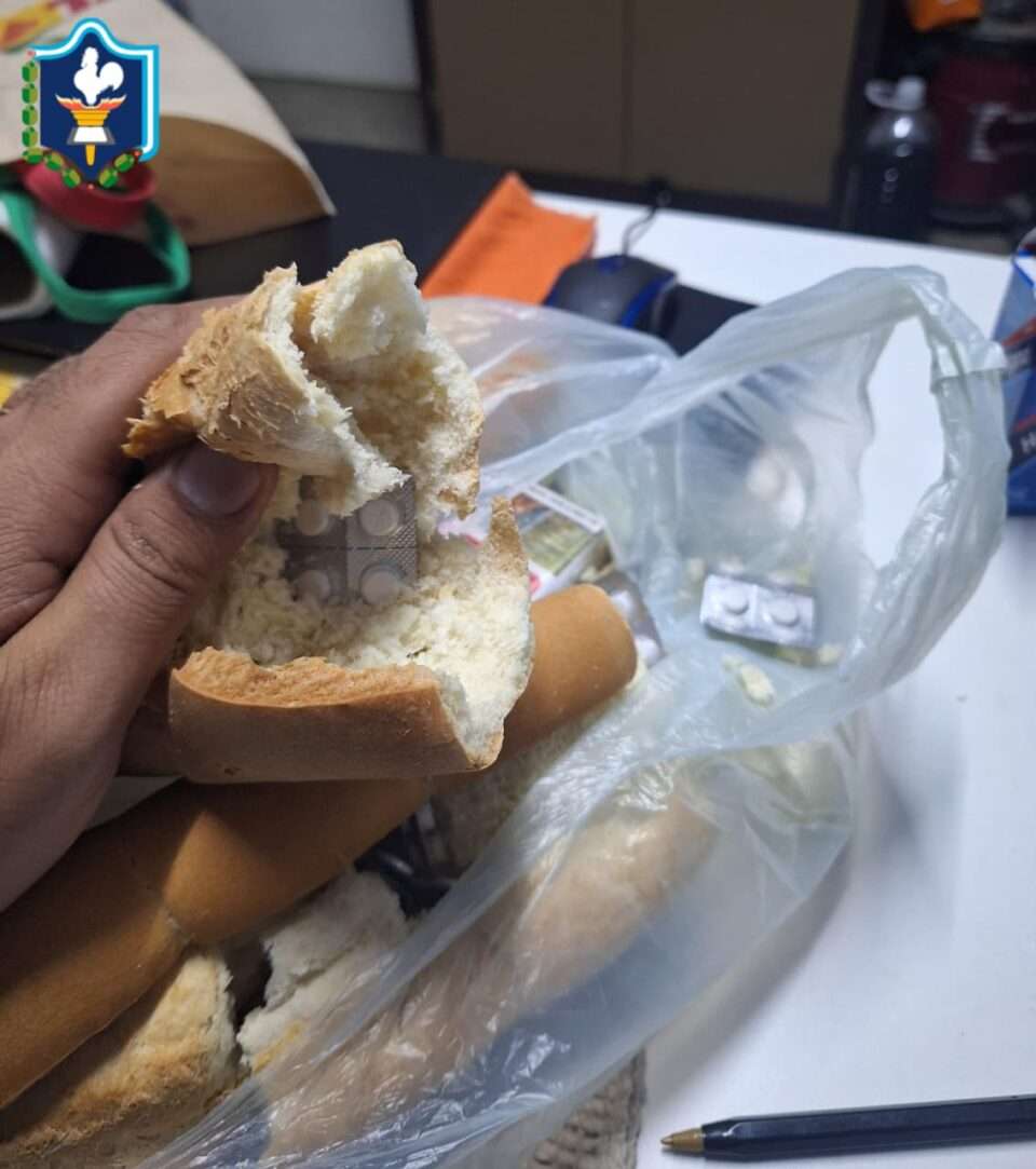 WhatsApp Image 2026 03 17 at 10.13.00 AM