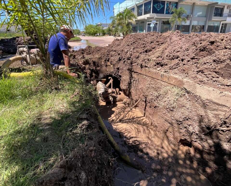 WhatsApp Image 2026 03 23 at 9.00.08 AM